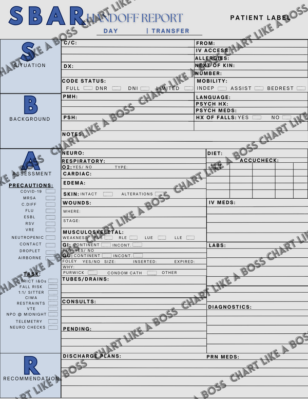 Chart Like A Boss A documentation Guide for Nurses Ink and Needle