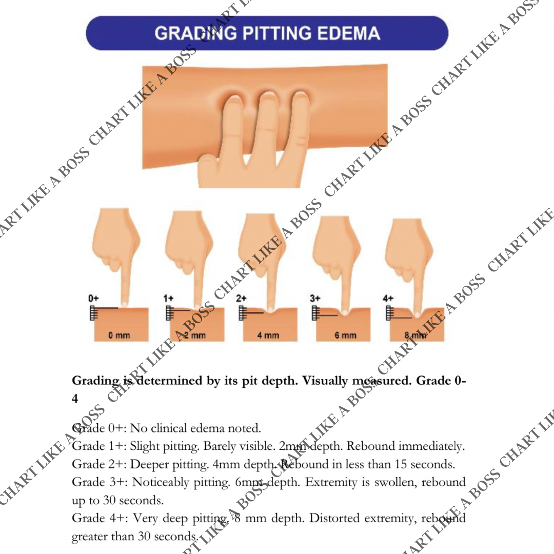 Chart Like A Boss A documentation Guide for Nurses Ink and Needle