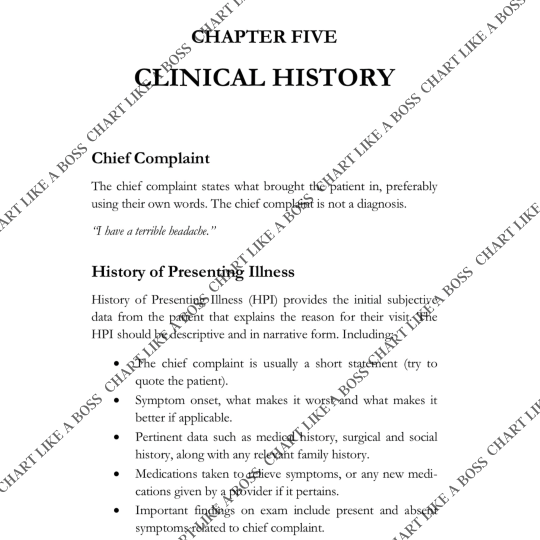 Chart Like A Boss A documentation Guide for Nurses Ink and Needle